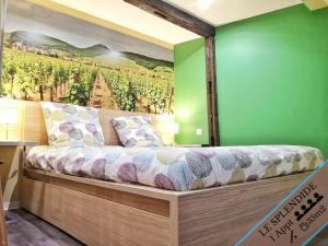 Postel nebo postele na pokoji v ubytování Splendide Appartement Barr - Route du Vins