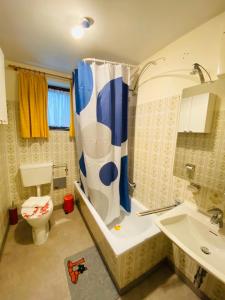 a bathroom with a shower and a toilet and a sink at Studio 13 - by Four Seasons Apartments in Kaprun
