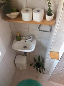 een kleine badkamer met een wastafel en toiletpapier bij Harmony I in Opatija