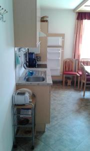 kuchnia ze zlewem i blatem w obiekcie Appartment Steger Klara w mieście Mittersill