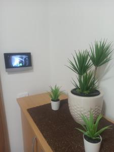 TV i/ili multimedijalni sistem u objektu Elif Apartman