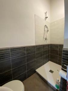 y baño con aseo, lavabo y ducha. en La casetta nel Borgo -Cerageto-, en Cerageto