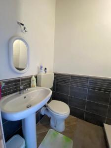bagno con lavandino, servizi igienici e specchio di La casetta nel Borgo -Cerageto- a Cerageto