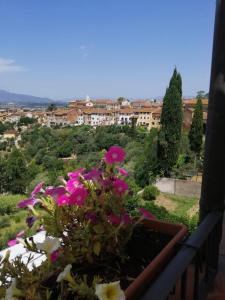 瓦爾迪安諾蒙托波利的住宿－Borgo Creativo-A casa di Anna-Appartamento Mosaico.，阳台上一盆粉红色的鲜花
