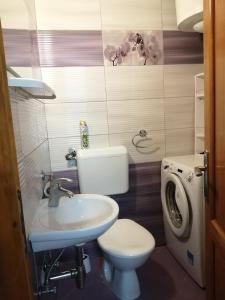 ein Badezimmer mit einem WC, einem Waschbecken und einer Waschmaschine in der Unterkunft Studio apartman Lina in Gradac
