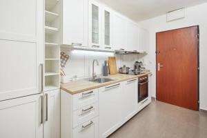 Gentle and cozy apartment right at the Center Prague 주방 또는 간이 주방