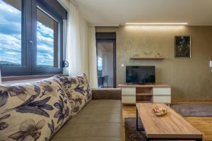 TV a/nebo společenská místnost v ubytování Monix Palace Zlatibor