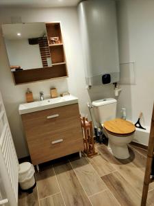 ein Badezimmer mit einem WC, einem Waschbecken und einem Spiegel in der Unterkunft la buffonnière in Montbard