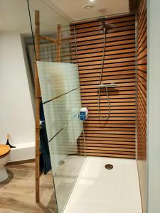 eine Dusche mit Glastür im Bad in der Unterkunft la buffonnière in Montbard
