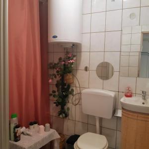 a bathroom with a toilet and a sink at Fassbinder Klause mit Mini-Terrasse in Sankt Veit an der Glan