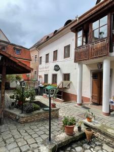 a courtyard of a building with potted plants at Katalinkert Panzió in Győr
