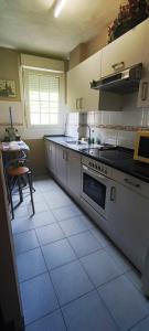 a kitchen with a sink and a stove at NALA HOUSE, acogedor,bien comunicado,aparcamiento gratis en la calle in Bilbao
