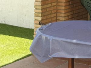 a bird sitting on a table with a purple table cloth at Villa Preciosa in Camposol