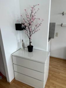 Televisyen dan/atau pusat hiburan di kleines Apartment im Zentrum von Würzburg