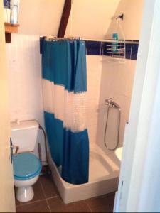 a bathroom with a blue shower curtain and a toilet at Chalet lac de Payolle in Ancizan