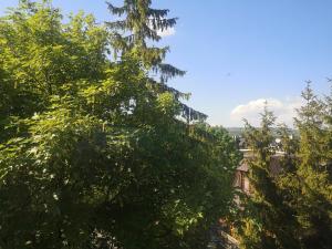 Príroda v okolí apartmánu