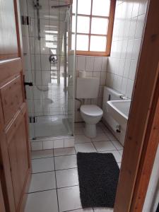 La salle de bains est pourvue d'une douche, de toilettes et d'un lavabo. dans l'établissement Altenbruecker Muehle, à Overath