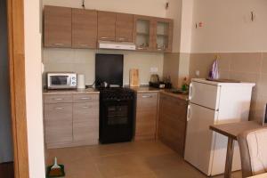 eine kleine Küche mit einem Kühlschrank und einer Mikrowelle in der Unterkunft Exceptional Suite in Čačak
