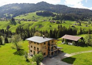 ein Haus mitten auf einem grünen Feld in der Unterkunft Ferienwohnung Schwendle Egg in Mittelberg