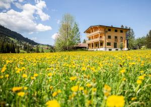Príroda v okolí apartmánu