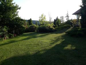 a large field of grass with trees and a house at Deák Vendégház Dörgicse in Dörgicse