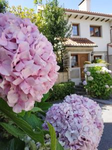 ソモにある" Estelas"の家の前のピンクの花2本