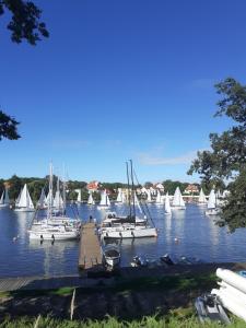 a group of boats are docked in a harbor at Apartament nad Jeziorakiem in Iława