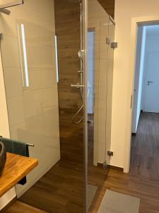 a shower with a glass door in a room at Casa Caro in Prüm