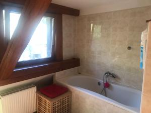 Koupelna v ubytování Apartmány Dolní Vítkov