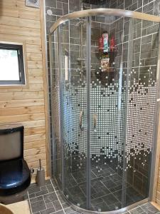 a shower with a glass door in a bathroom at wood house in Mestia