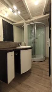 La salle de bains est pourvue d'un lavabo et d'une douche en verre. dans l'établissement Le moulin de Thiers-lamaisondefrancois03, à Thiers