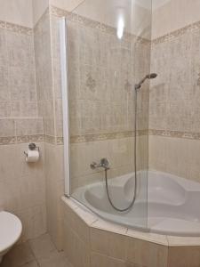 Koupelna v ubytování Apartment in Prague centre