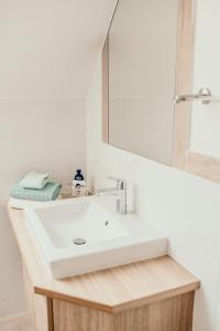 a bathroom with a white sink and a mirror at Titscherhof in Leutschach
