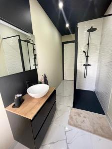 a bathroom with a sink and a shower at JungleClassic en plein cœur de Mulhouse in Mulhouse