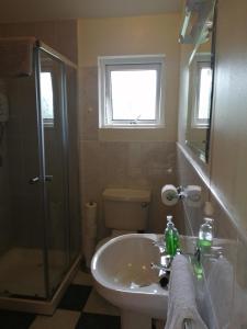 ein Bad mit einem Waschbecken, einer Dusche und einem WC in der Unterkunft Carolina Cottage in Buncrana