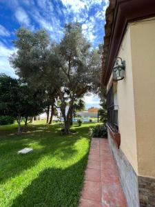 A garden outside Chalet en La Barrosa, Piscina+BBQ+Grifo de Cerveza