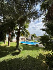 a swimming pool in a yard with palm trees at Chalet en La Barrosa, Piscina+BBQ+Grifo de Cerveza in Chiclana de la Frontera