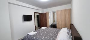 1 dormitorio con 1 cama y TV de pantalla plana en Sorinapartament, en Brasov