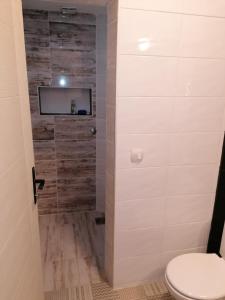 Koupelna v ubytování Apartman Centar 2