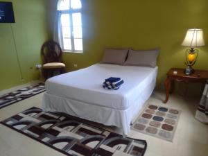 a bedroom with a white bed with a table and a window at Abigail's Splendor -2 Bedroom Entire Apartment in Tortola Island
