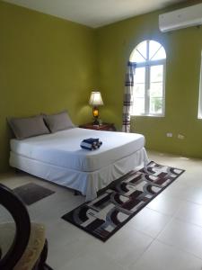 a bedroom with a white bed and a window at Abigail's Splendor -2 Bedroom Entire Apartment in Tortola Island