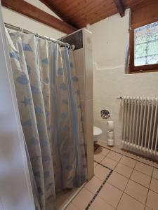 a bathroom with a shower curtain and a toilet at Ruheidylle Weitblick in Kleinich
