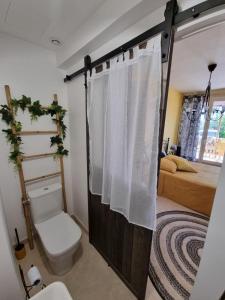 La salle de bains est pourvue de toilettes et d'un rideau de douche. dans l'établissement Tikazéla - Domaine Ombre et Lumière, à Saint-Jean-de-Muzols