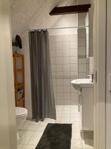 een badkamer met een douche, een toilet en een wastafel bij Varde Bed and Kitchen in Varde