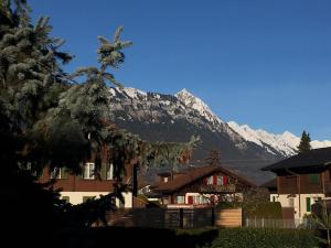 a mountain in the distance with a house and trees at Ferienwohnung Interlaken/Wilderswil in Wilderswil +11 photos