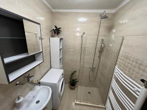 een badkamer met een douche, een toilet en een wastafel bij Apartment with a sun terrace,privat parking in Banská Bystrica