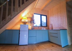 A kitchen or kitchenette at Geophysical Station in Tsikhisdziri