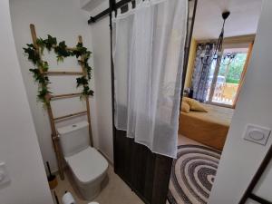 a small bathroom with a toilet and a bed at Tikazéla - Domaine Ombre et Lumière in Saint-Jean-de-Muzols