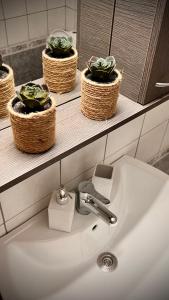 a bathroom sink with three plants in baskets on a shelf at CW Flat in Alexandroupoli