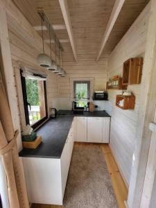 a kitchen in a tiny house with wooden walls at Domek 105 in Gietrzwałd